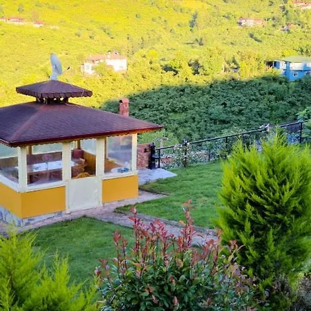 Doganin Icindeki Huzurlu Daire *